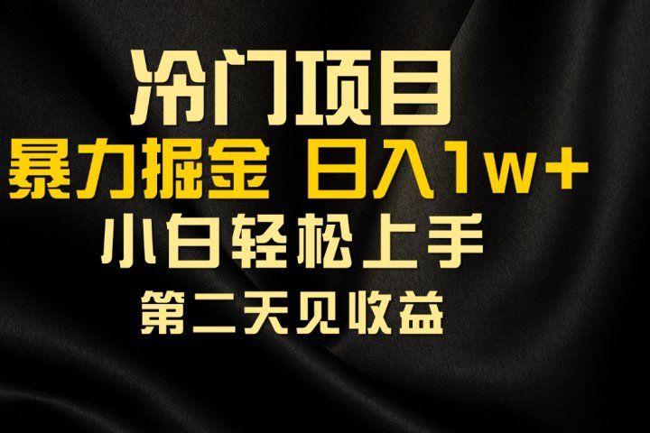 冷门项目，靠一款软件日入10000+暴力掘金小白轻松上手，第二天见收益网创吧-网创项目资源站-副业项目-创业项目-搞钱项目网创吧