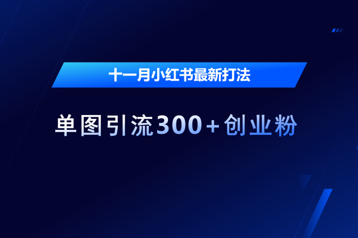 十一月，小红书最新打法，单图引流300+创业粉网创吧-网创项目资源站-副业项目-创业项目-搞钱项目网创吧